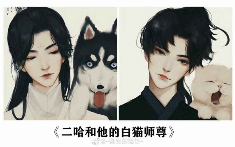 二哈和他的白猫师尊