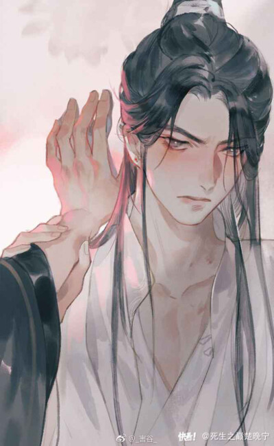 二哈和他的白猫师尊