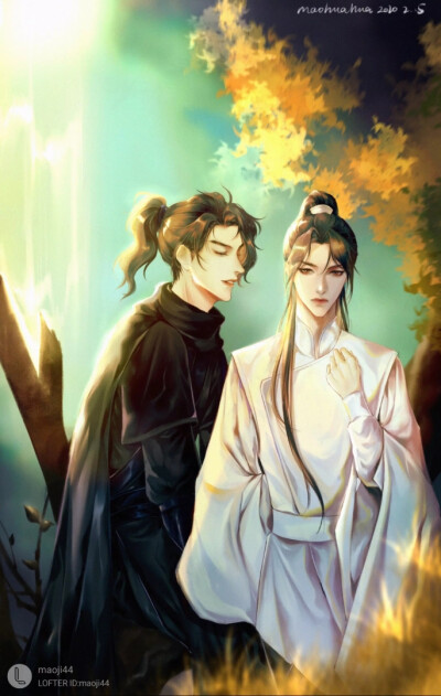 二哈和他的白猫师尊