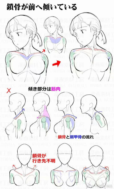 肩膀，人体（来源QQ空间）