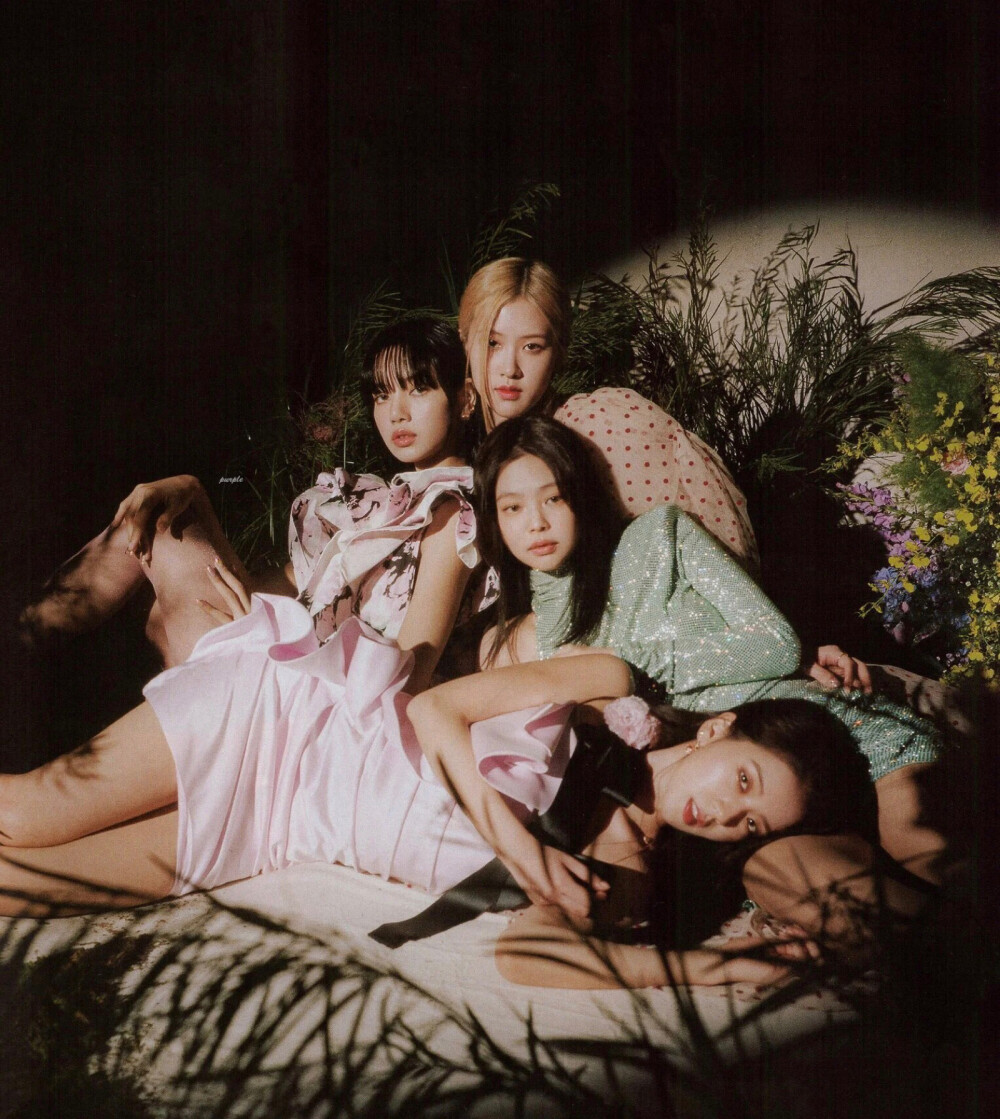 blackpink - 堆糖,美图壁纸兴趣社区