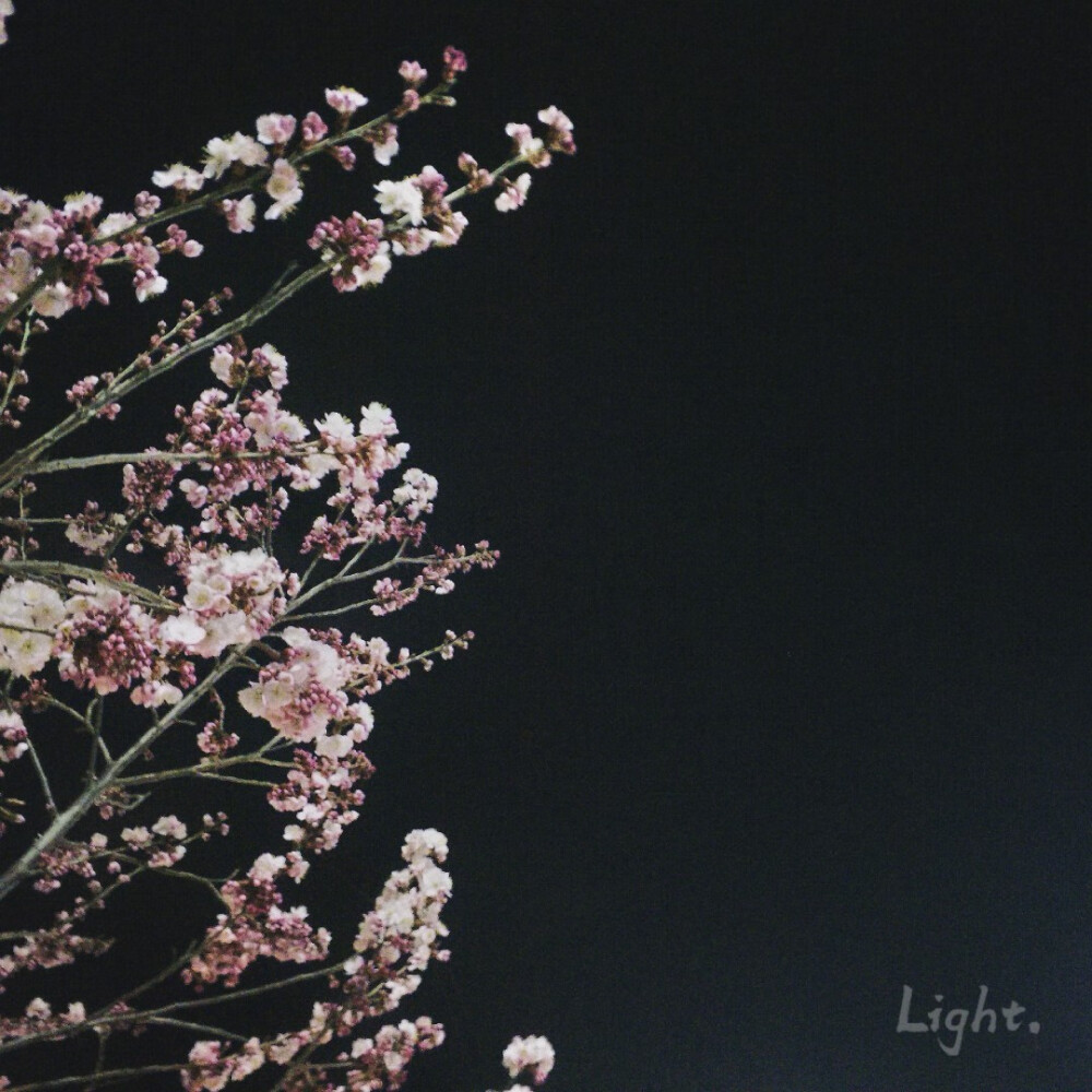 Flowers bloom–❀.