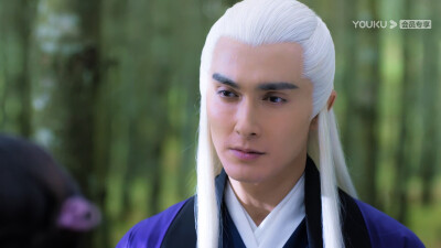 高伟光 东华帝君