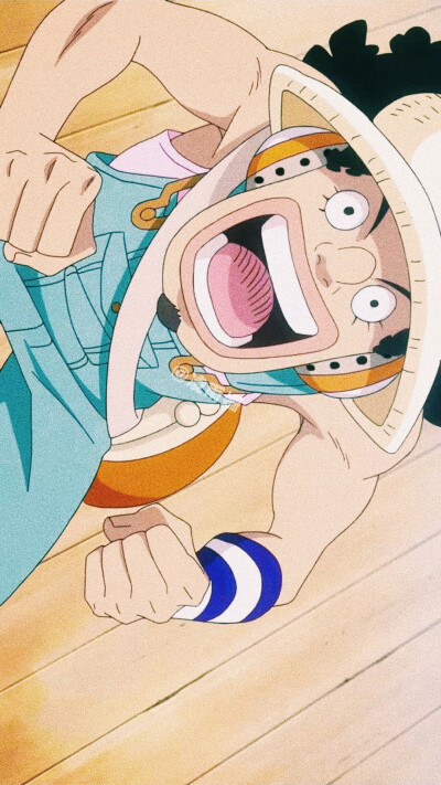 ONE PIECE
海贼王
草帽海贼团