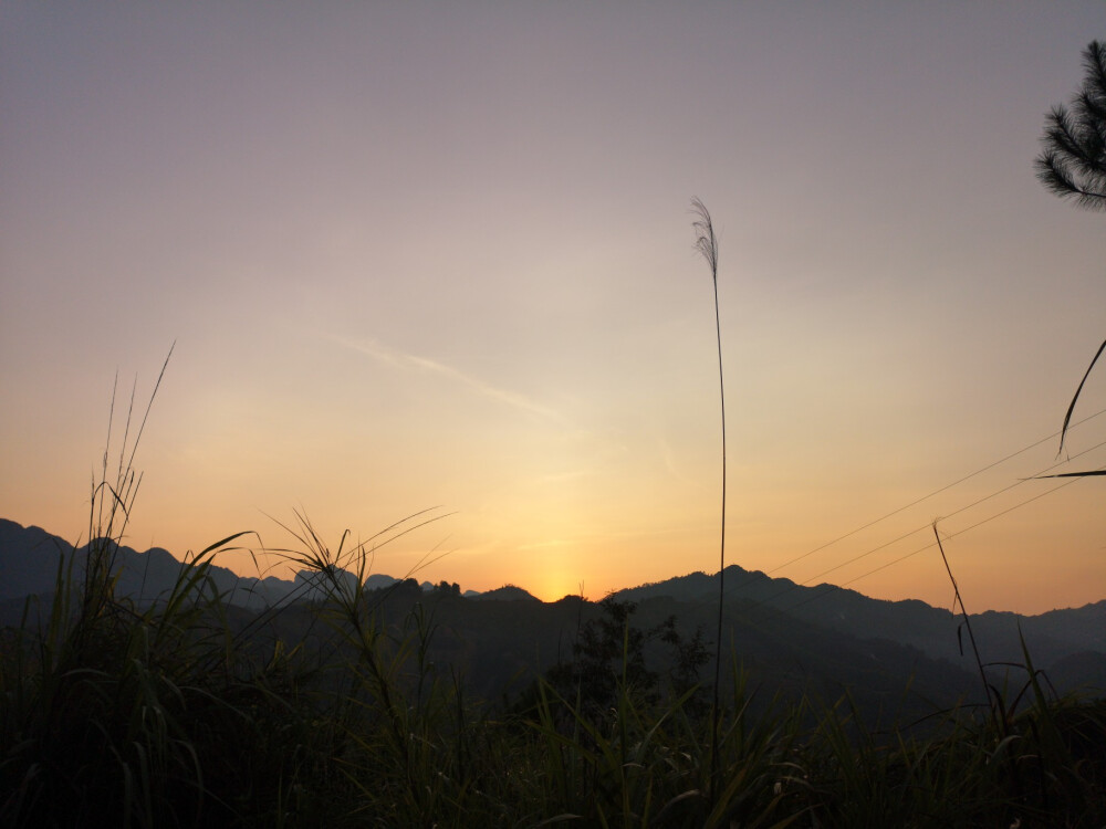 一是早朝二是夕阳