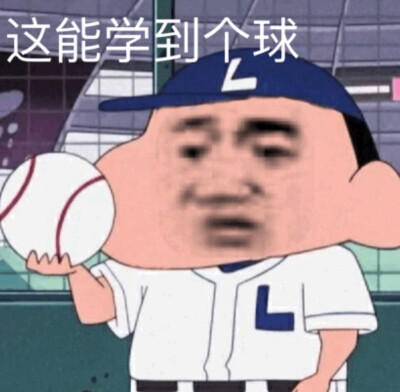 vb 追大鹅