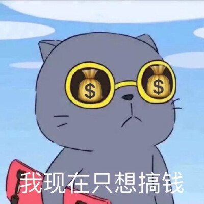 可爱小猫