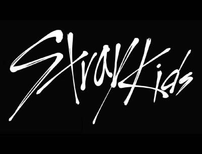 Stray Kids 迷路