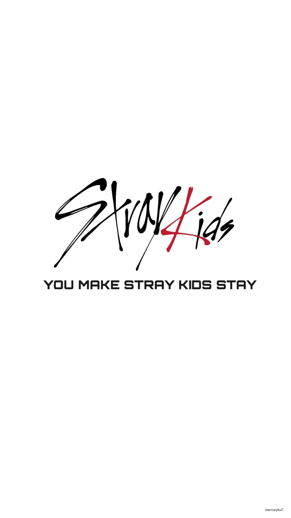 Stray Kids 迷路