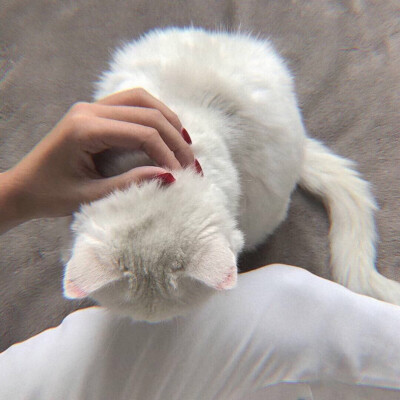 头像˗ˏˋ♥︎︎ˎˊ˗