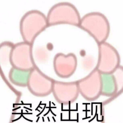 表情包