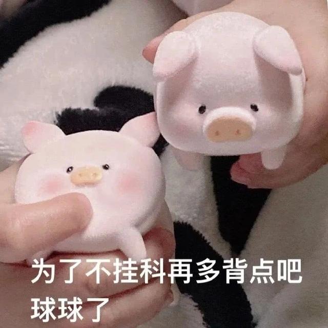 表情包 | 背书不易，猪猪自闭
