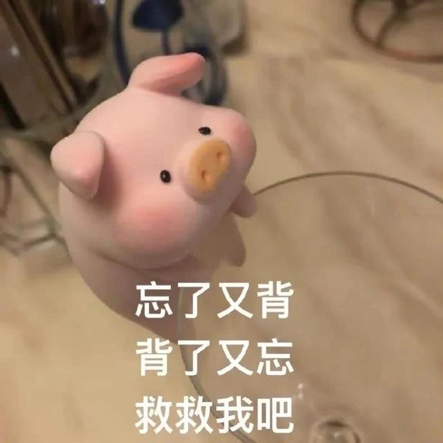 表情包 | 背书不易，猪猪自闭
