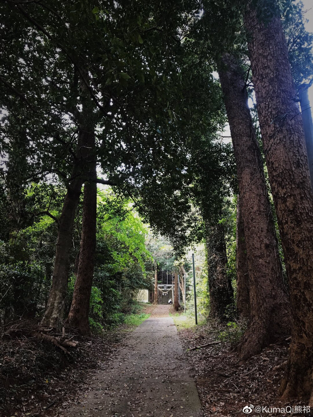 @KumaQi熊祁：远离闹市区的熊野神社，感觉真好啊……想来养老。。。。今天也是努力还债的大好熊[doge][鲜花][鲜花] ​​​[/cp]