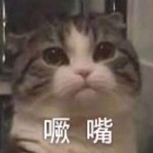 猫猫表情包