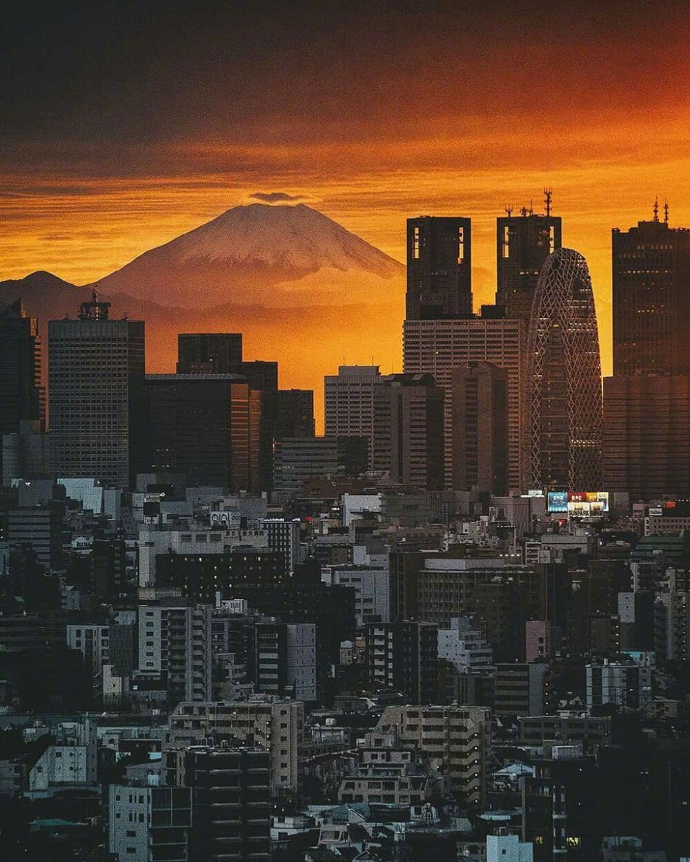 富士山