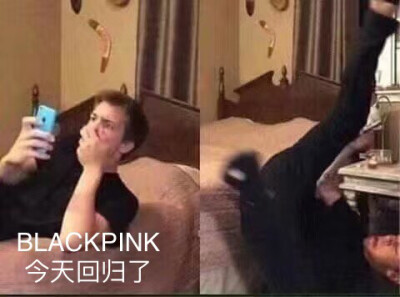 blackpink表情包