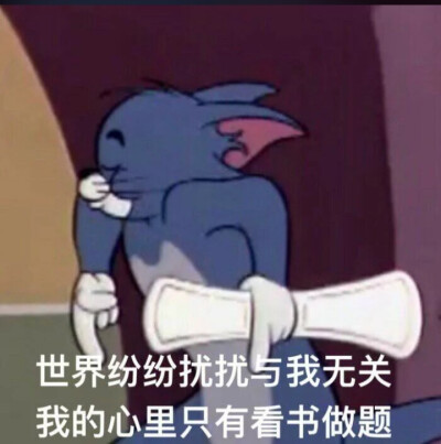 新鲜出炉的表情包，来啦！