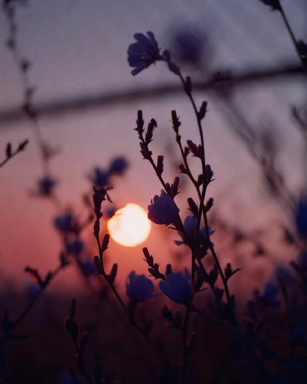 落日余晖
只为遇见