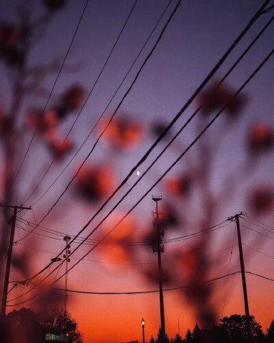 落日余晖
只为遇见