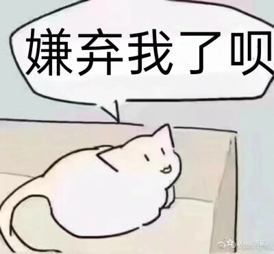 发给你的大猪蹄子