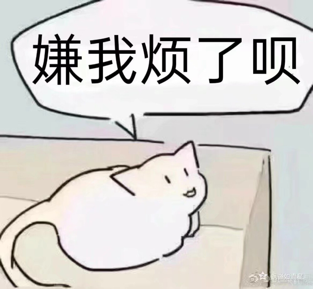 发给你的大猪蹄子