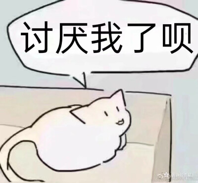 发给你的大猪蹄子