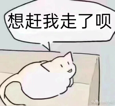 发给你的大猪蹄子