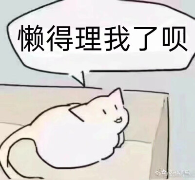 发给你的大猪蹄子