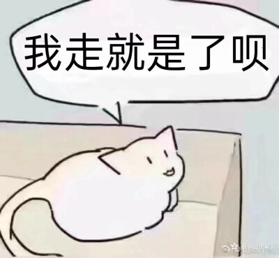 发给你的大猪蹄子