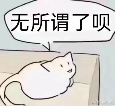 发给大猪蹄子