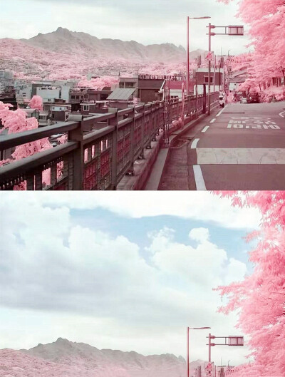 「分屏」少女心爆棚