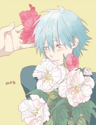 dmmd