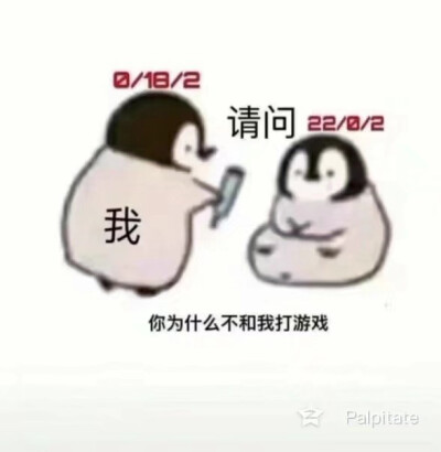 TiMi一响，网课白讲。