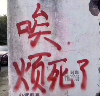 壁纸 头像 文字