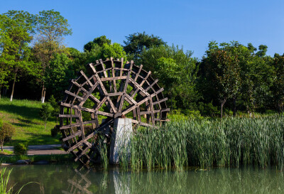 洋湖湿地公园