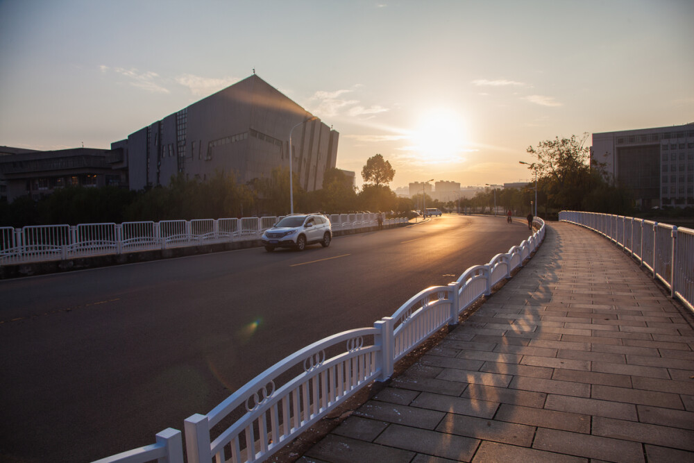 中南大学