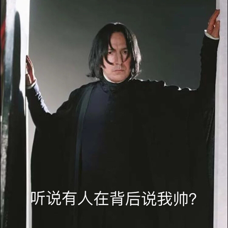 哈利波特表情包