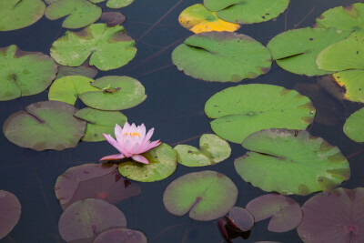 景德镇陶瓷大学