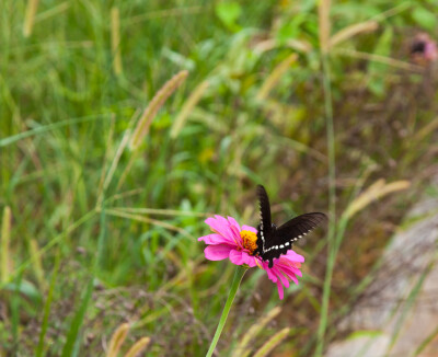 景德镇陶瓷大学