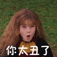 哈利波特表情包