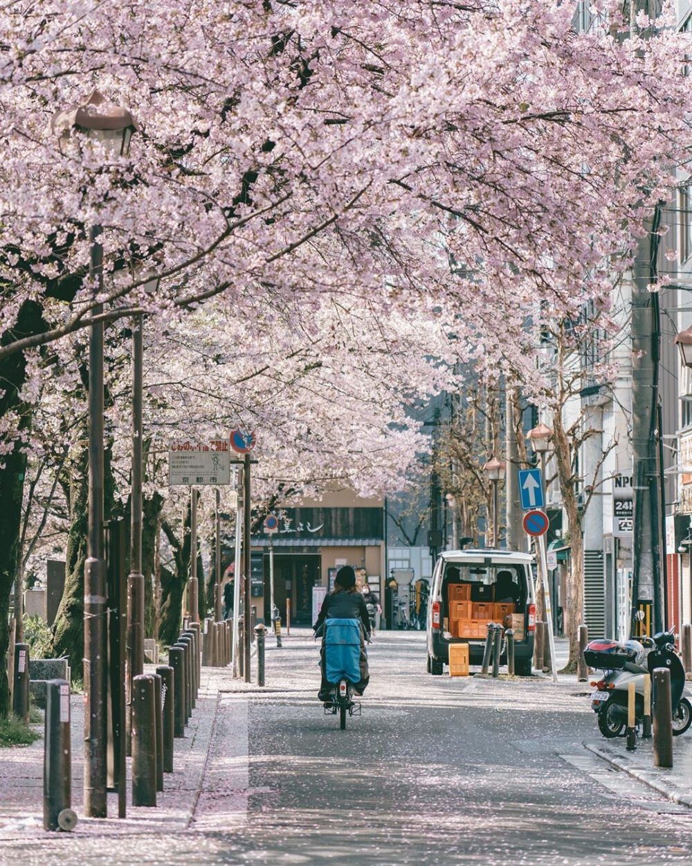  春天、樱花和旅行♡