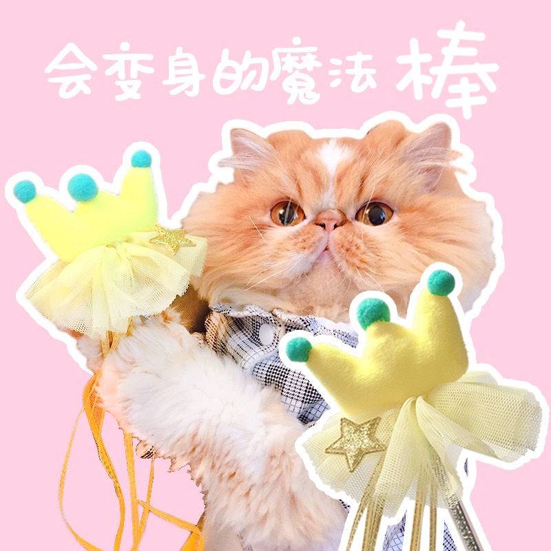 Best Pets可爱皇冠流苏逗猫棒少女心高颜值超仙猫咪解闷宠物玩具