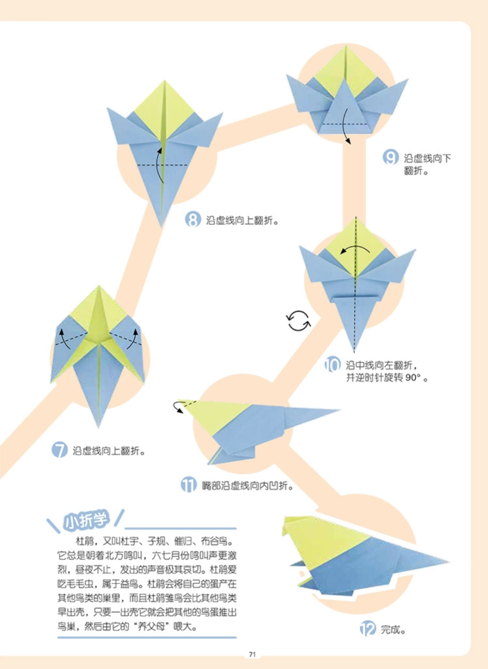 折纸 杜鹃