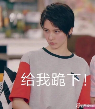 成果表情包第一弹