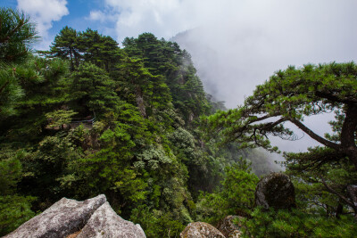 明月山 羊狮幕