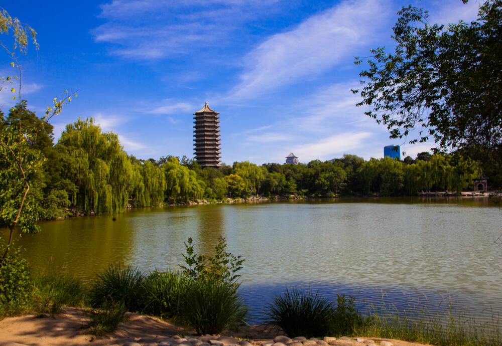 北京大学