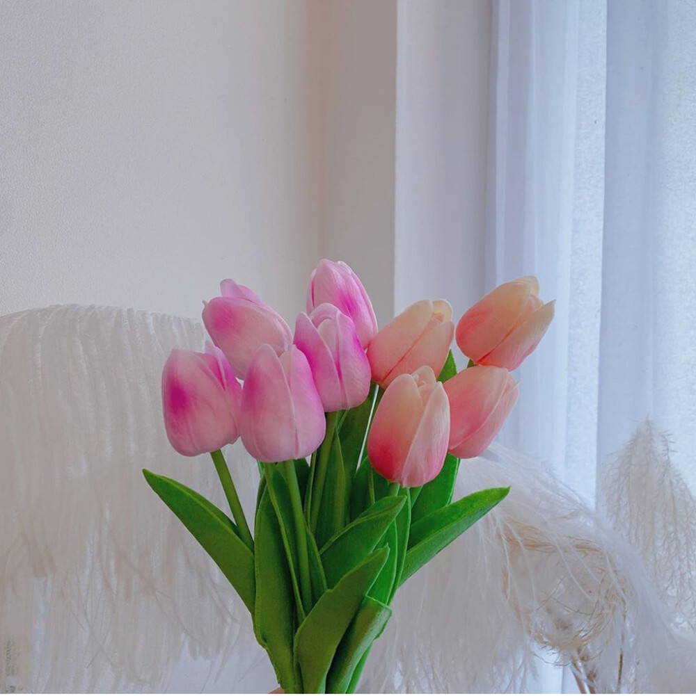 ins自截郁金香春天的五颜六色使人心情愉悦