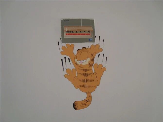 开关上的小可爱