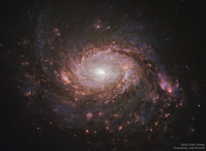 M77：具有活动中心的旋涡星系

影像来源及版权：Hubble，NASA，ESA：处理者和许可方：JudySchmidt
